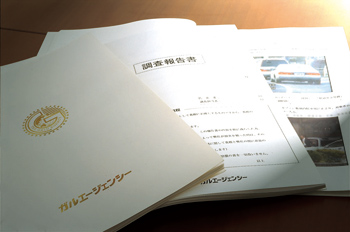調査報告書