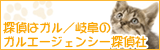 ガル岐阜中央ブログ