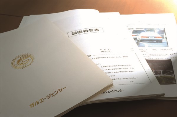 ガル調査報告書